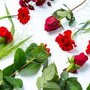 Brievenbus boeket rood liggend